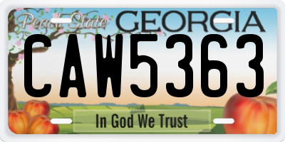 GA license plate CAW5363