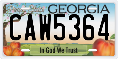 GA license plate CAW5364