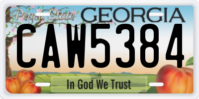 GA license plate CAW5384