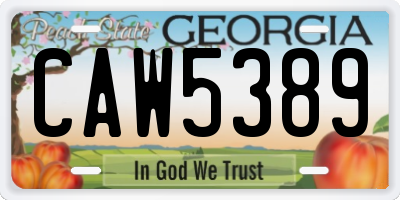 GA license plate CAW5389