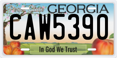 GA license plate CAW5390