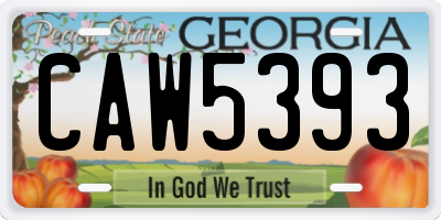 GA license plate CAW5393