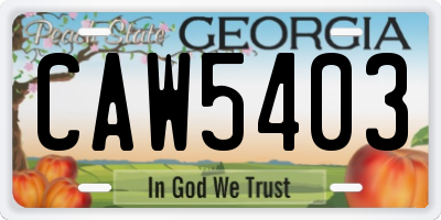 GA license plate CAW5403