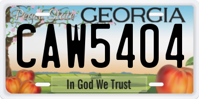 GA license plate CAW5404