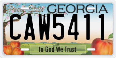 GA license plate CAW5411