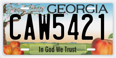 GA license plate CAW5421