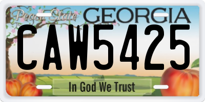 GA license plate CAW5425