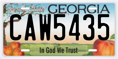 GA license plate CAW5435