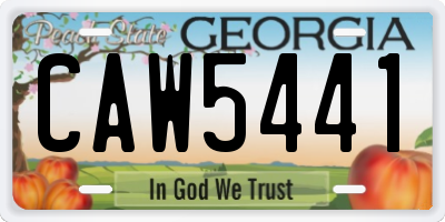 GA license plate CAW5441
