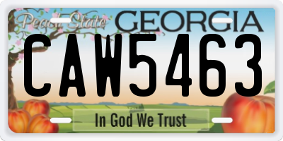 GA license plate CAW5463