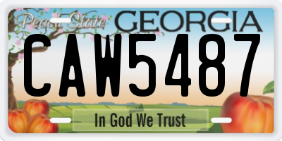 GA license plate CAW5487
