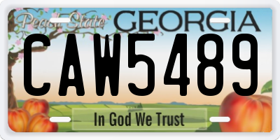 GA license plate CAW5489