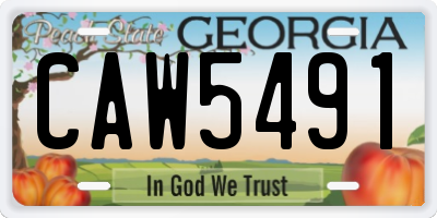 GA license plate CAW5491