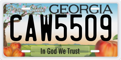 GA license plate CAW5509