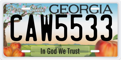 GA license plate CAW5533