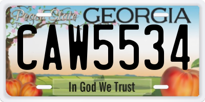 GA license plate CAW5534