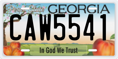 GA license plate CAW5541