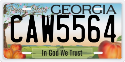 GA license plate CAW5564