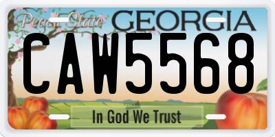 GA license plate CAW5568