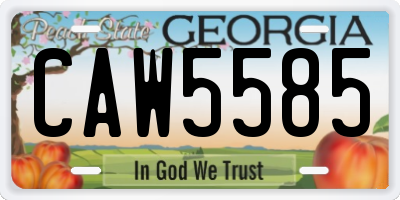 GA license plate CAW5585