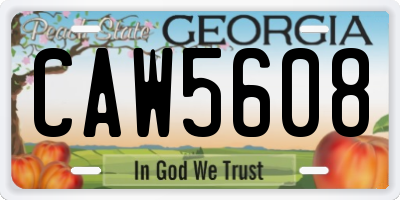 GA license plate CAW5608
