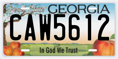 GA license plate CAW5612