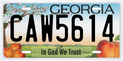 GA license plate CAW5614