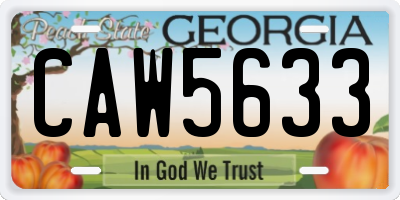 GA license plate CAW5633