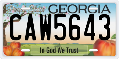 GA license plate CAW5643
