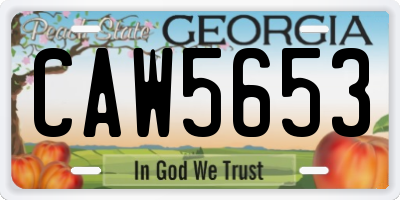 GA license plate CAW5653