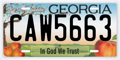 GA license plate CAW5663