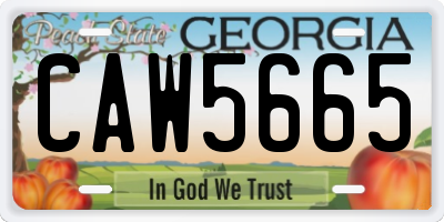 GA license plate CAW5665