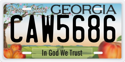 GA license plate CAW5686