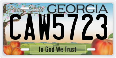 GA license plate CAW5723