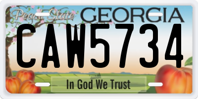 GA license plate CAW5734
