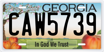 GA license plate CAW5739