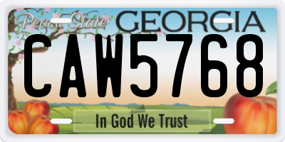 GA license plate CAW5768
