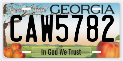 GA license plate CAW5782
