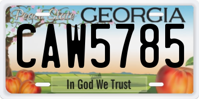 GA license plate CAW5785