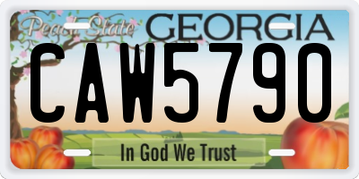 GA license plate CAW5790
