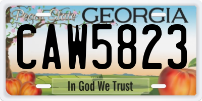 GA license plate CAW5823