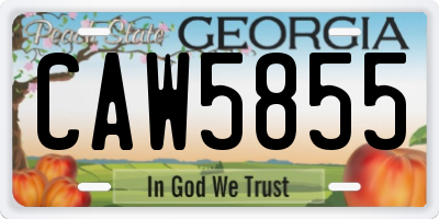 GA license plate CAW5855