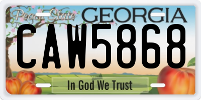 GA license plate CAW5868