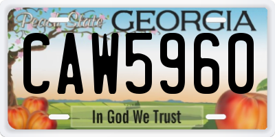 GA license plate CAW5960