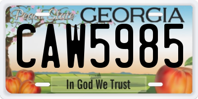 GA license plate CAW5985