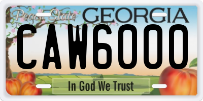 GA license plate CAW6000