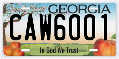 GA license plate CAW6001