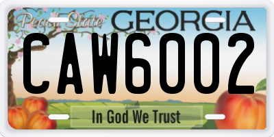 GA license plate CAW6002