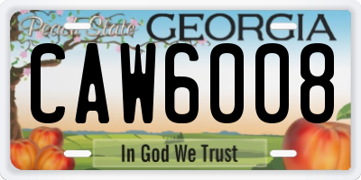 GA license plate CAW6008