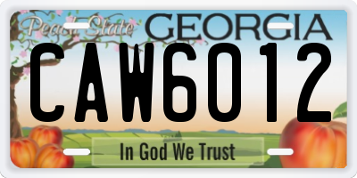 GA license plate CAW6012
